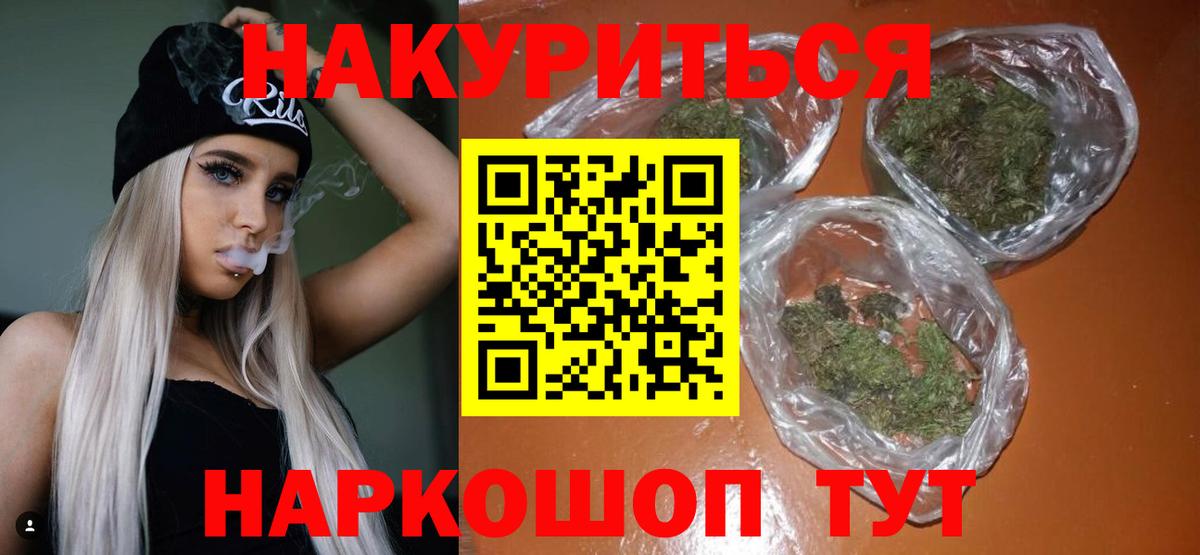 Канабис планчик Тара